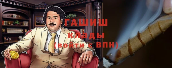 индика Богородск
