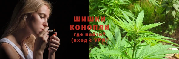 индика Богородск
