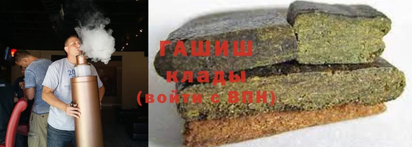 индика Богородск