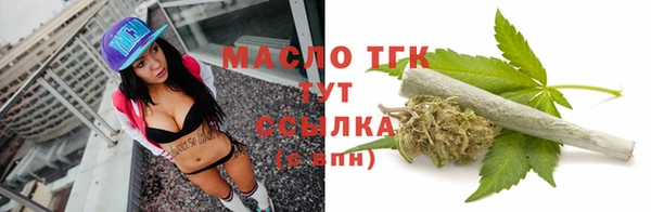 индика Богородск