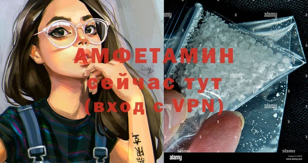индика Богородск