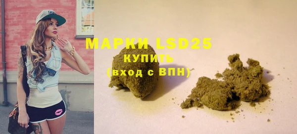 индика Богородск