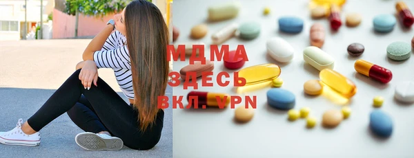 индика Богородск