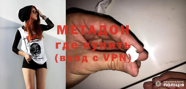 индика Богородск