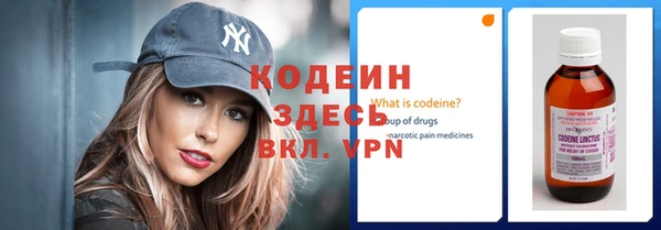 индика Богородск