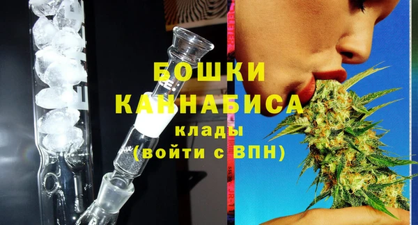 индика Богородск