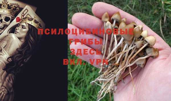 круглые Богданович