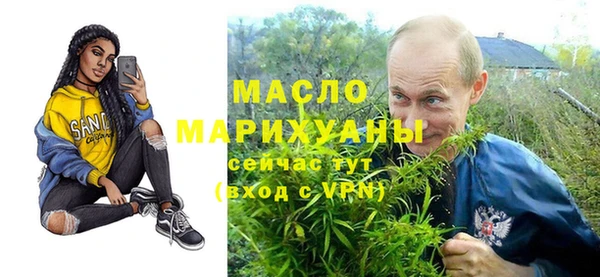 индика Богородск