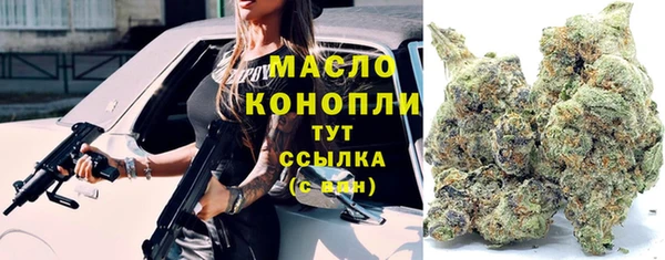 индика Богородск