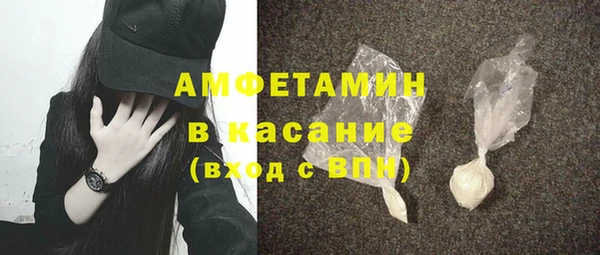 индика Богородск