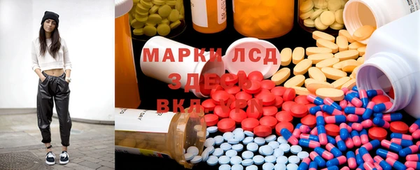 индика Богородск
