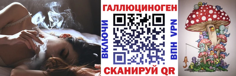 Галлюциногенные грибы MAGIC MUSHROOMS Чегем
